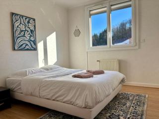 Appartement lumineux 80m2 avec vue et parking - Besançon - 4