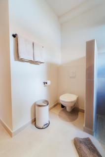 Bohemian palapa suite, private pool , 5 minute walk of the beach - Palm-Eagle Beach - 2