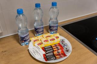 Grunwald Spacious Apartment by BookingHost - 1