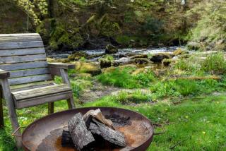 Fox Tor Apartment - 7