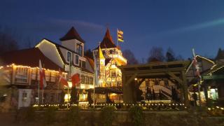 Lionheart Inn - Helen - 0
