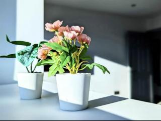 Little Gem Modern Apartment - Wolverhampton - 2