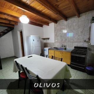 Departamentos Los olivos - 7