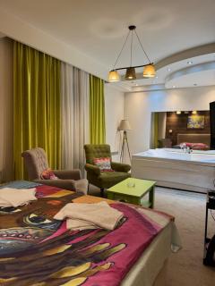 Jacuzzi In Bedroom Elegance Apartments - 6