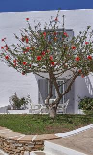 Galaxy Hotel Naxos - Naxos Chora - 8