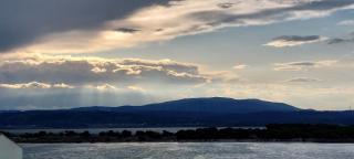 Le nid des hirondelles - Leucate-Plage - 8