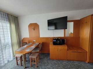 Mitterdorf - apartmán Almberg - Mitterfirmiansreut - 2