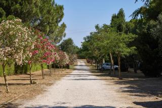 Happy Camp in Costa d'Argento Camping Village Club Capalbio - 5