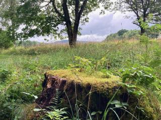 Lilla Halängen cottages, Mormors hus - 3