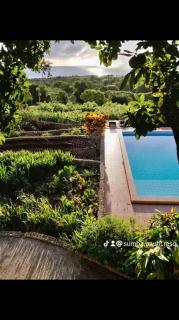 Sumba Nautil Resort - 9