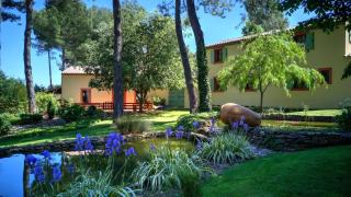 Villa Lorna - 2 maisons - piscine privée - Aups - 6