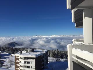 NEW studio confort vue pistes - Chamrousse - 1