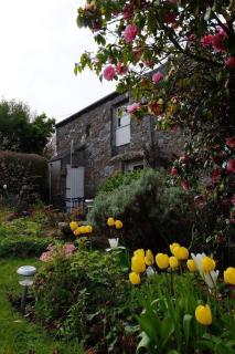 Annie's Cottage - 3 miles from the iconic Minack Theatre - 8
