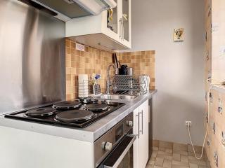 Appartement à 50m de la plage avec balcon, animaux acceptés - FR-1-236-64 - 6