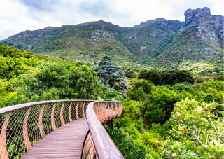 Cape Town Explorer's Rest - Meadowridge - 8