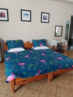 Letty's Studio - with Free Gym membership - Mesongi - 9
