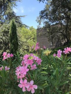 Maison en bord de garrigue - 0