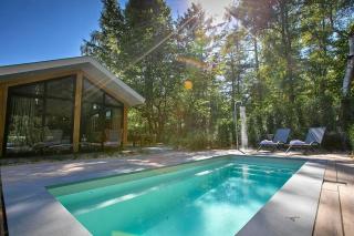 Pool Lodge - Vakantiepark De Thijmse Berg - Rhenen - 6