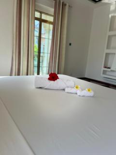 skyport villa - Città di Zanzibar - 8
