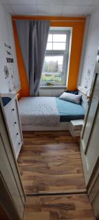 Kammer - Magdeburgo - 5