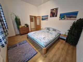 Apartment Apartmán Arnika by Interhome - Janské Lázně - 8
