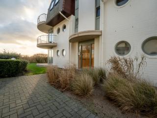 Studio Blutsyde Promenade-43 by Interhome - Bredene - 2