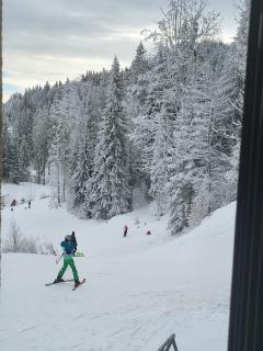 Terra Relax Mountain Apartment - Jahorina - 7