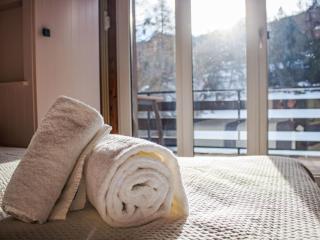 Apartment Bietschorn 20 by Interhome - Nendaz - 1
