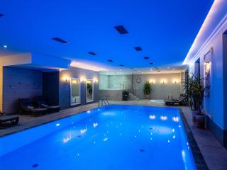 Hotel Paryski Art & Business Zakopane - Basen Jacuzzi Sauna Małpi Gaj - Zakopane - 8