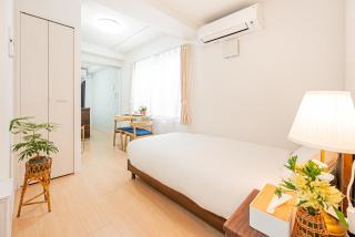 501房间 押上站3分钟 晴空塔solamachi3分钟 免费wi-fi - 2