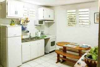 Appartement exquis à Baie-Mahault, 40m² avec jardin agréable - Baie-Mahault - 8