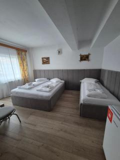 Pensiunea Liziera - Buşteni - 5
