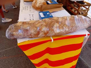 Clos A Malypense chez Mr Montamat - Galan - 7