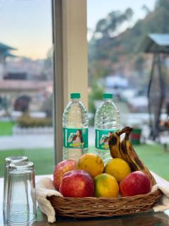 Kasauli Bhoom heera Lodge - Kasauli - 2