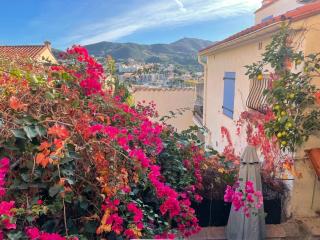 Appartement Charmant T2 - Banyuls-sur-Mer - 0