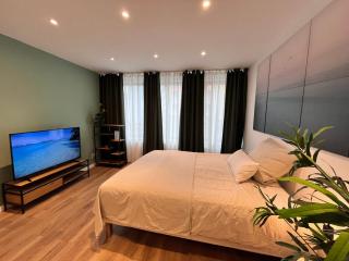 Goldstadt Apartments Pforzheim - Pforzheim - 3