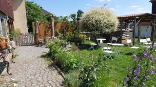 Ferienwohnung Grandel - Walddorf - 6