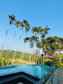 POOL VILLA The Tranquil Haven of coorg - Madikeri - 8