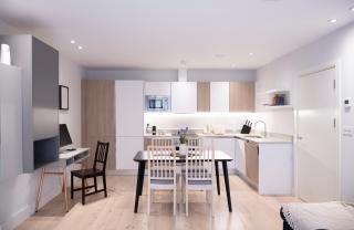 Palmer Apartments - Elephant & Castle - Londra - 3
