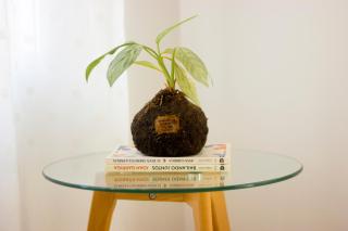 New and cozy apartment in the center of Gandia - Gandía - 4