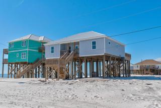 Beach Life - Dauphin Island - 4