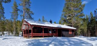 Sauna | Wi-Fi | Terrace | Wood stove | Cable TV - Lofsdalen - 0