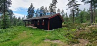 Sauna | Wi-Fi | Terrace | Wood stove | Cable TV - Lofsdalen - 0