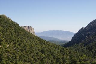 Ribazos de la Sierra - 6