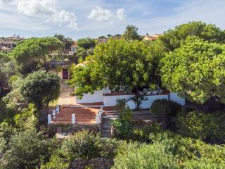 20mt dalla Spiaggia-Villa Esclusiva Vista Mare - - 4
