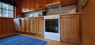 Sauna | Wi-Fi | Terrace | Wood stove | Cable TV - Lofsdalen - 3