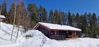 Sauna | Wi-Fi | Terrace | Wood stove | Cable TV - Lofsdalen - 0