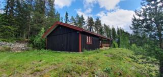 Sauna | Wi-Fi | Terrace | Wood stove | Cable TV - Lofsdalen - 0