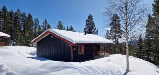Sauna | Wi-Fi | Terrace | Wood stove | Cable TV - 0