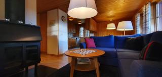 Sauna | Wi-Fi | Terrace | Wood stove | Cable TV - Lofsdalen - 7